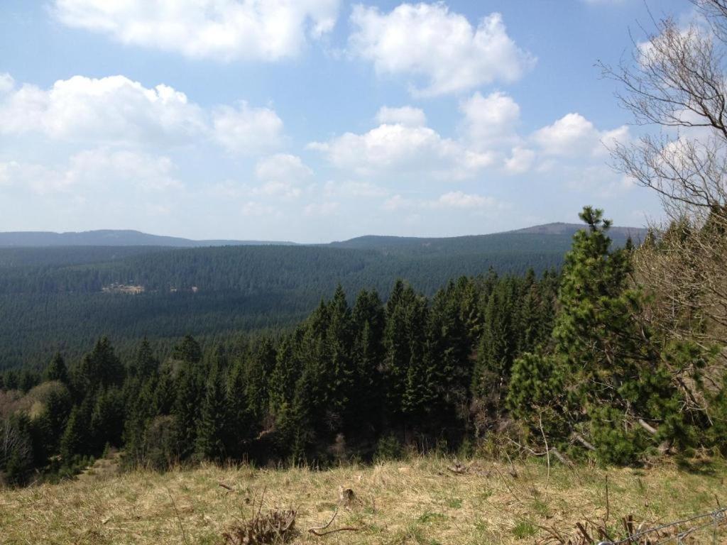 Hostel & Hotel Braunlage Buitenkant foto