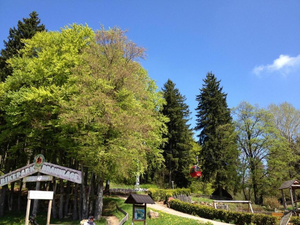 Hostel & Hotel Braunlage Buitenkant foto